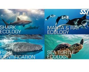 Leer meer over de onderwaterwereld: SSI Ecology Opleidingen